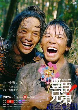 丰臣兄弟！ 日本剧在线观看